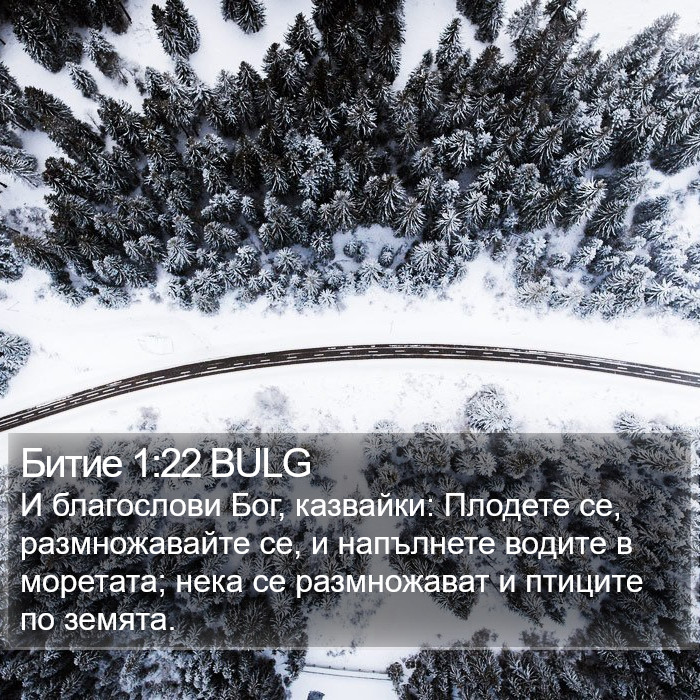 Битие 1:22 BULG Bible Study