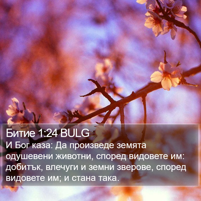 Битие 1:24 BULG Bible Study