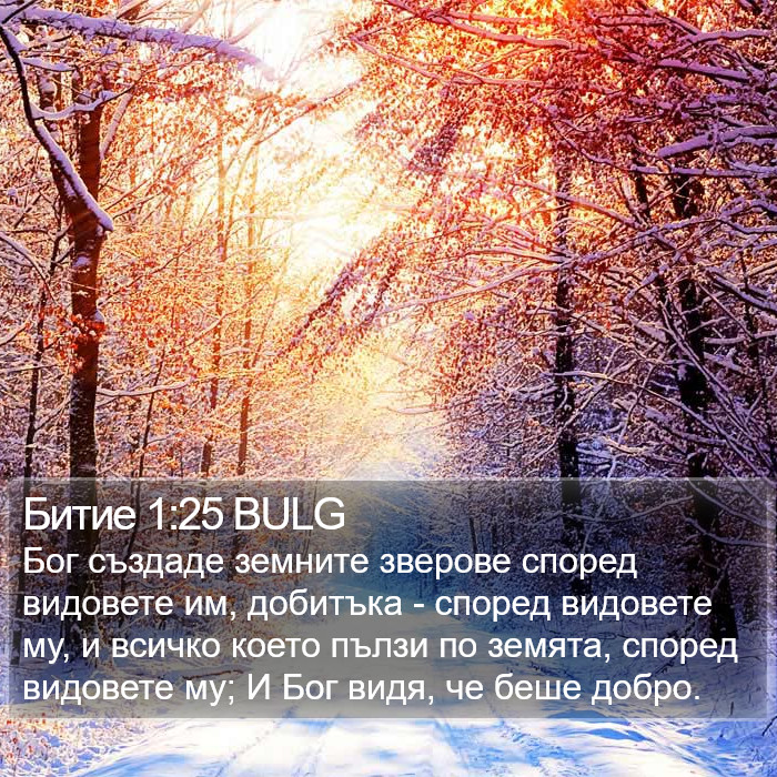 Битие 1:25 BULG Bible Study