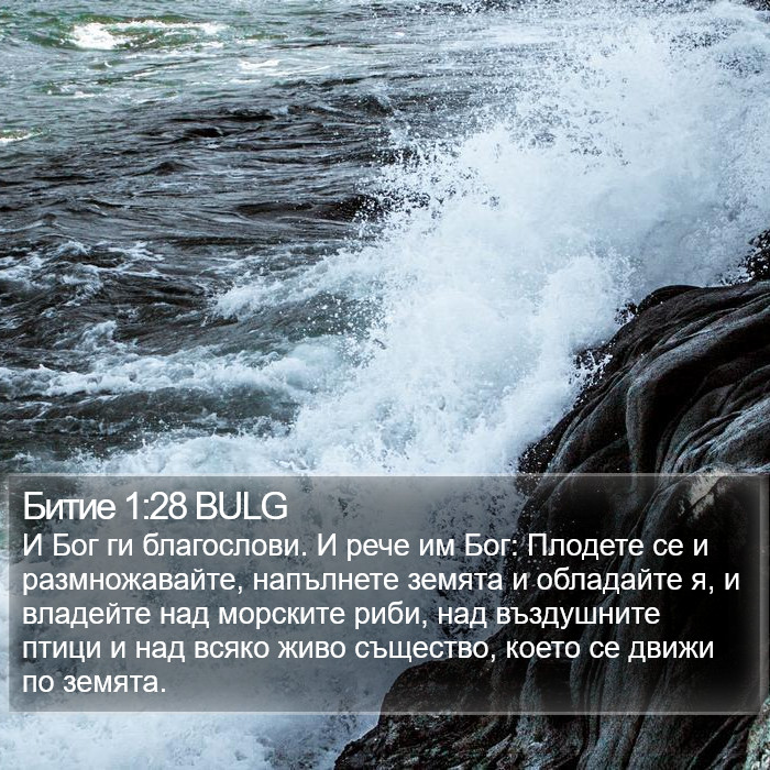 Битие 1:28 BULG Bible Study