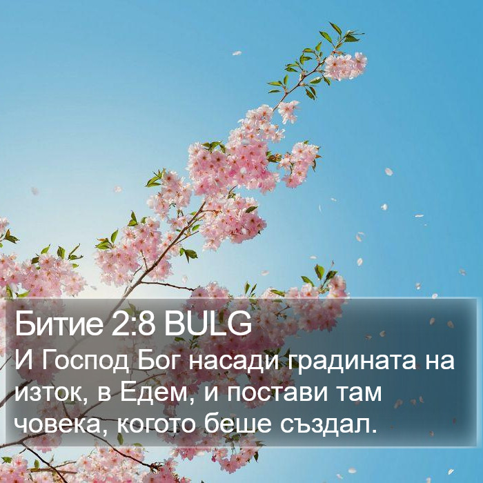 Битие 2:8 BULG Bible Study