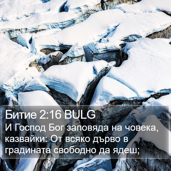 Битие 2:16 BULG Bible Study