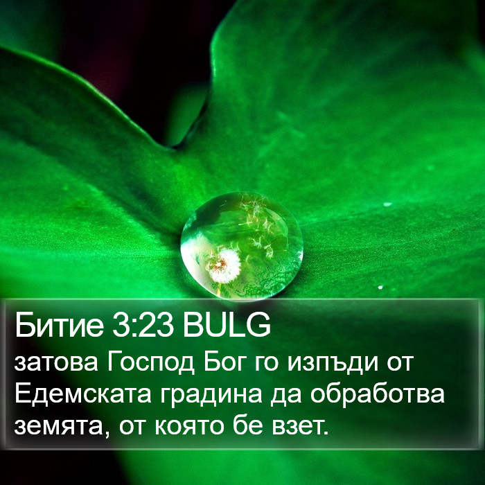 Битие 3:23 BULG Bible Study