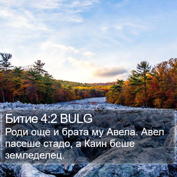 Битие 4:2 BULG Bible Study