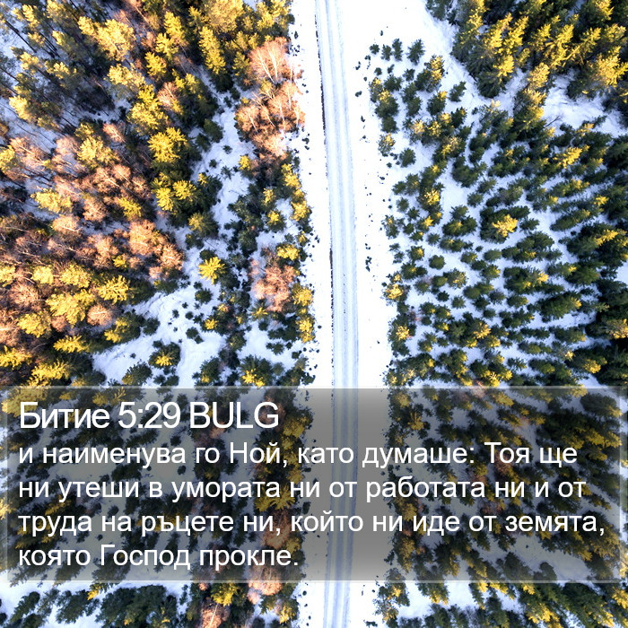 Битие 5:29 BULG Bible Study