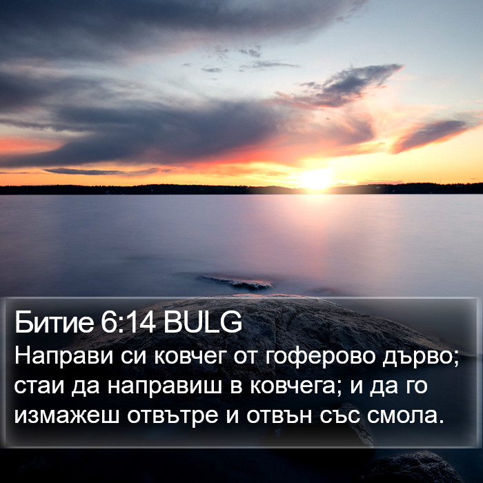 Битие 6:14 BULG Bible Study