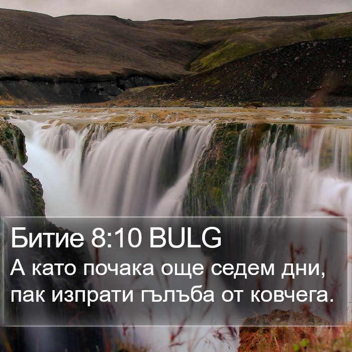 Битие 8:10 BULG Bible Study