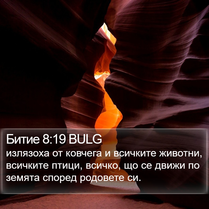 Битие 8:19 BULG Bible Study