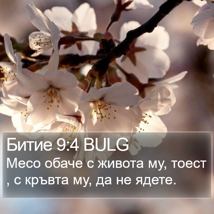 Битие 9:4 BULG Bible Study