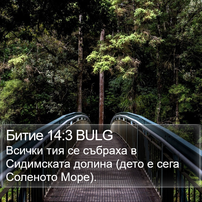 Битие 14:3 BULG Bible Study
