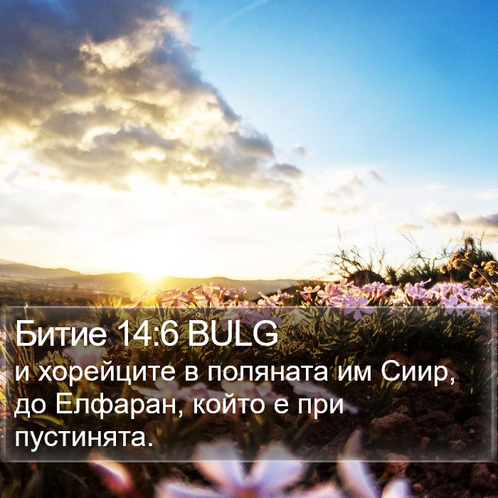 Битие 14:6 BULG Bible Study