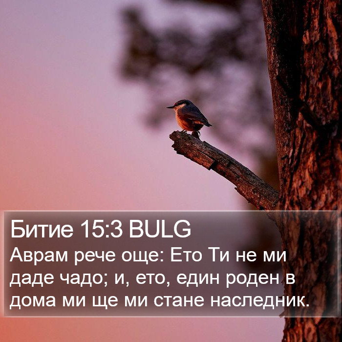 Битие 15:3 BULG Bible Study