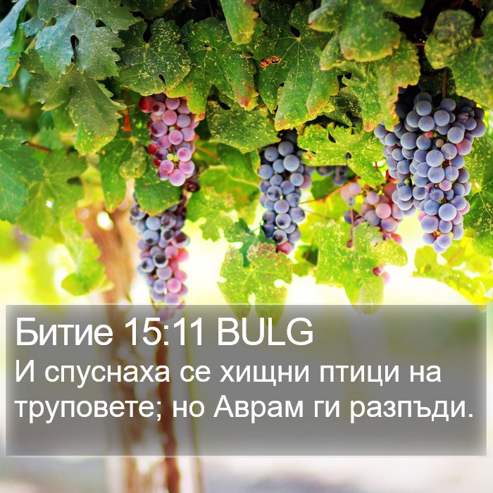 Битие 15:11 BULG Bible Study