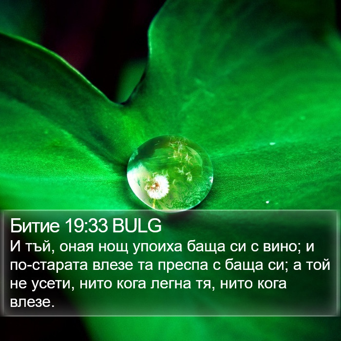 Битие 19:33 BULG Bible Study