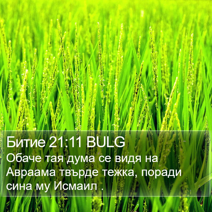Битие 21:11 BULG Bible Study
