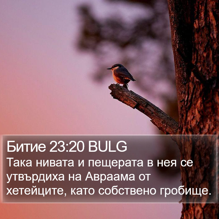 Битие 23:20 BULG Bible Study