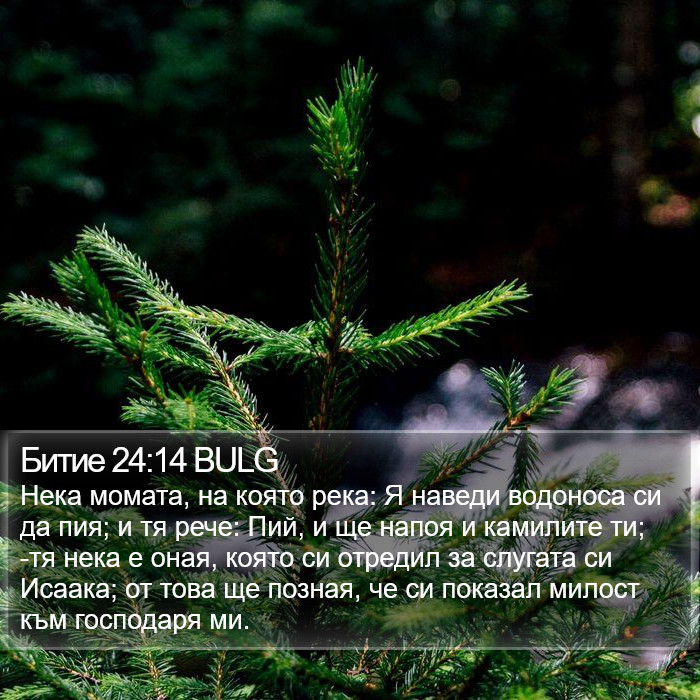 Битие 24:14 BULG Bible Study