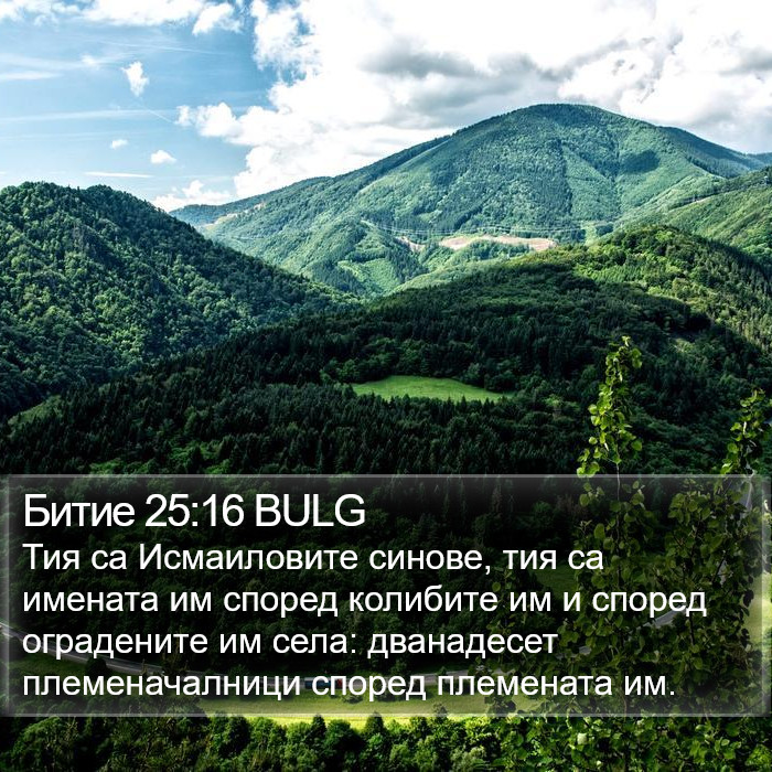 Битие 25:16 BULG Bible Study