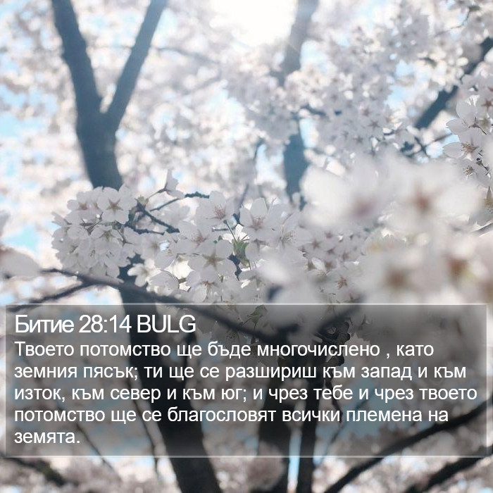 Битие 28:14 BULG Bible Study