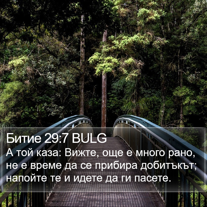 Битие 29:7 BULG Bible Study