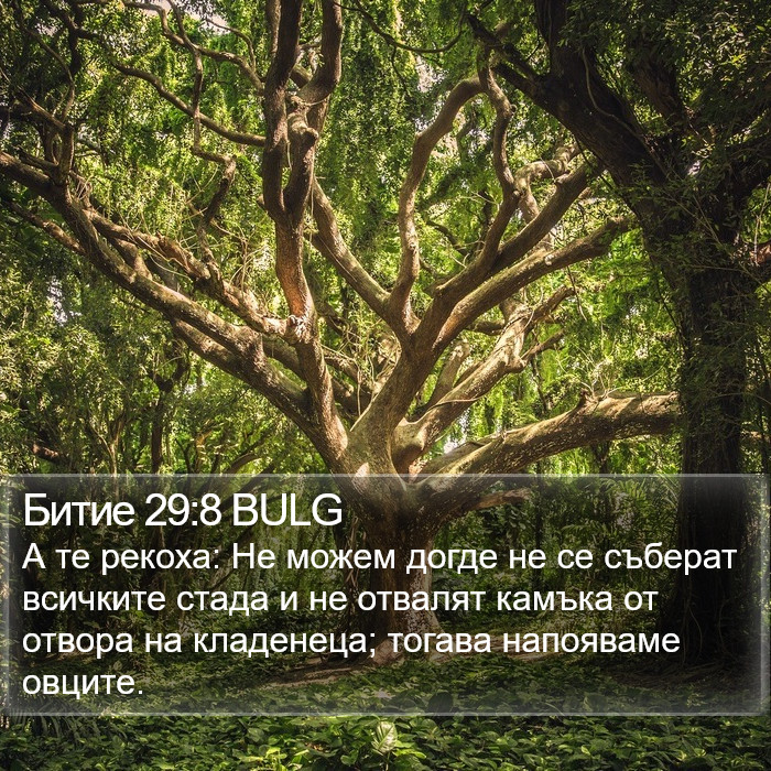 Битие 29:8 BULG Bible Study