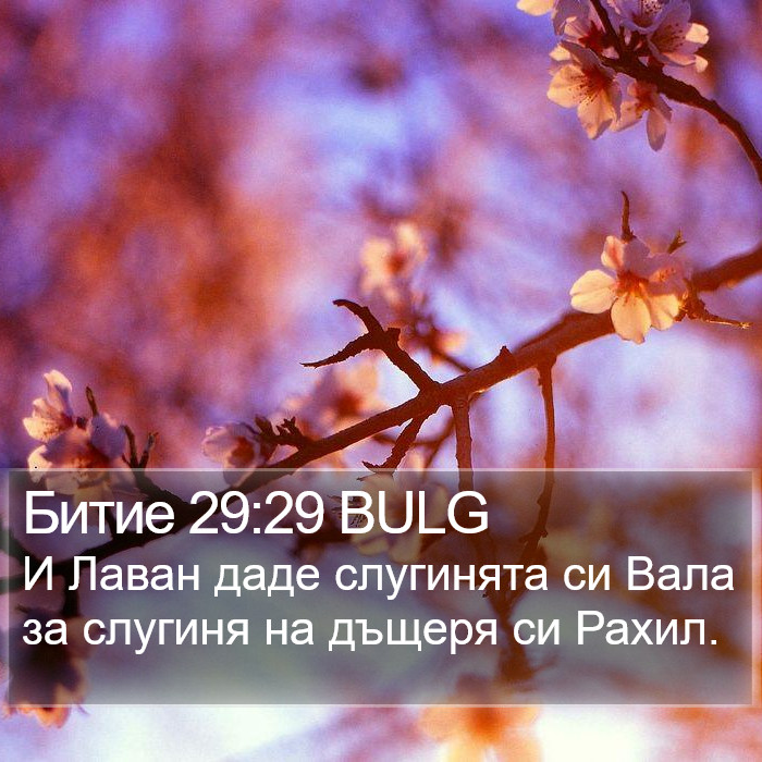 Битие 29:29 BULG Bible Study