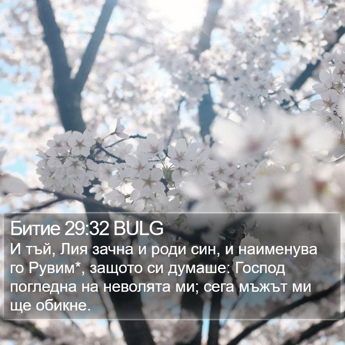 Битие 29:32 BULG Bible Study