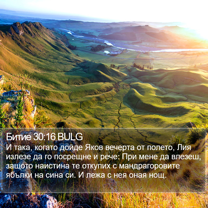 Битие 30:16 BULG Bible Study