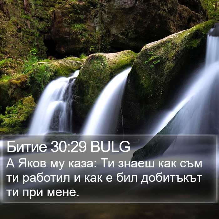 Битие 30:29 BULG Bible Study