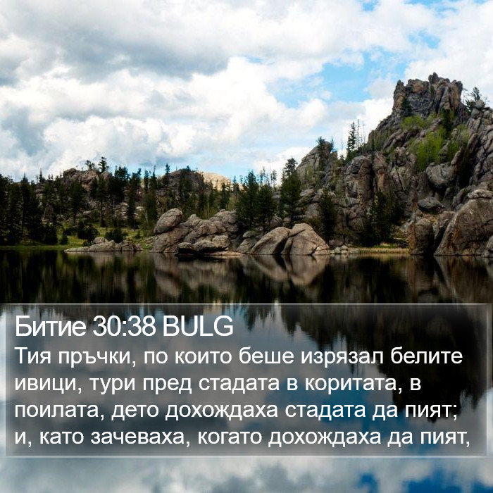 Битие 30:38 BULG Bible Study