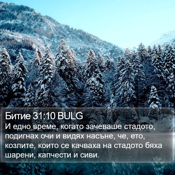 Битие 31:10 BULG Bible Study