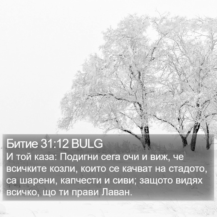 Битие 31:12 BULG Bible Study