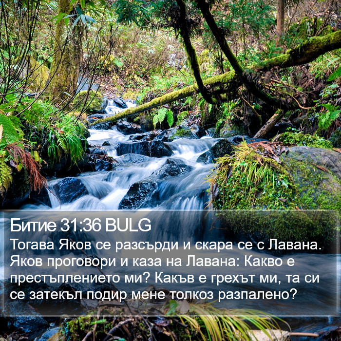 Битие 31:36 BULG Bible Study