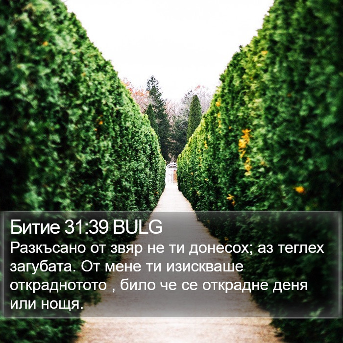 Битие 31:39 BULG Bible Study