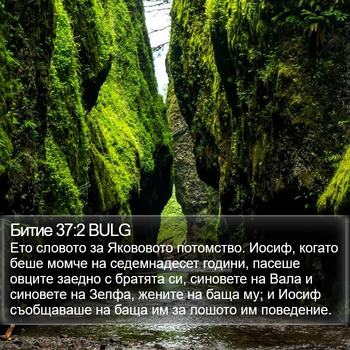 Битие 37:2 BULG Bible Study