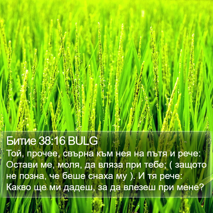 Битие 38:16 BULG Bible Study