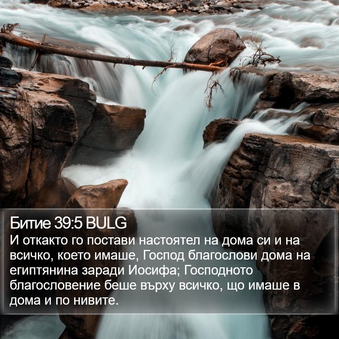 Битие 39:5 BULG Bible Study