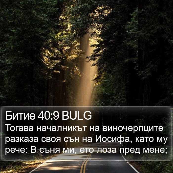 Битие 40:9 BULG Bible Study