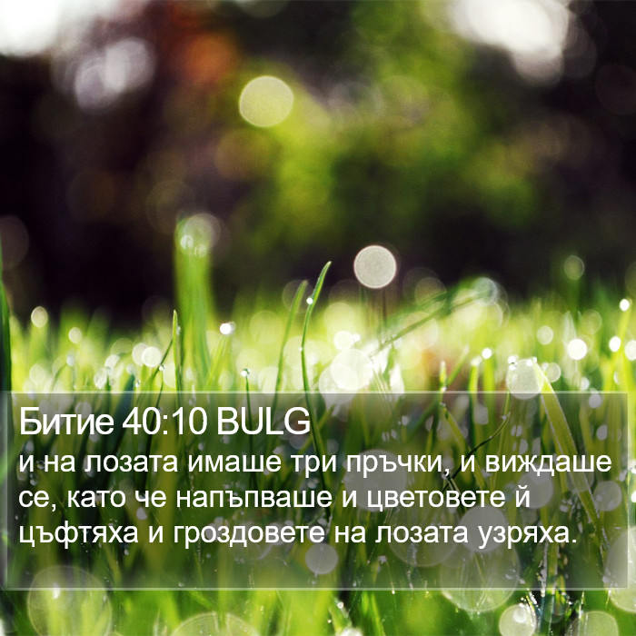 Битие 40:10 BULG Bible Study