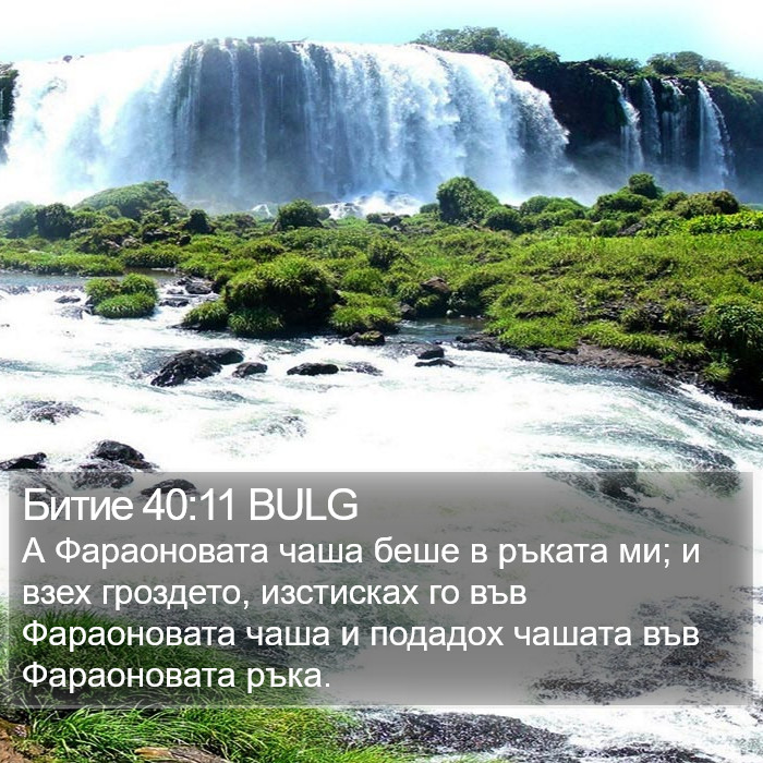 Битие 40:11 BULG Bible Study