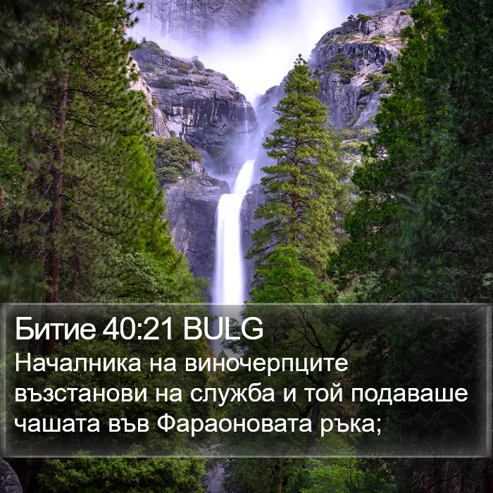 Битие 40:21 BULG Bible Study