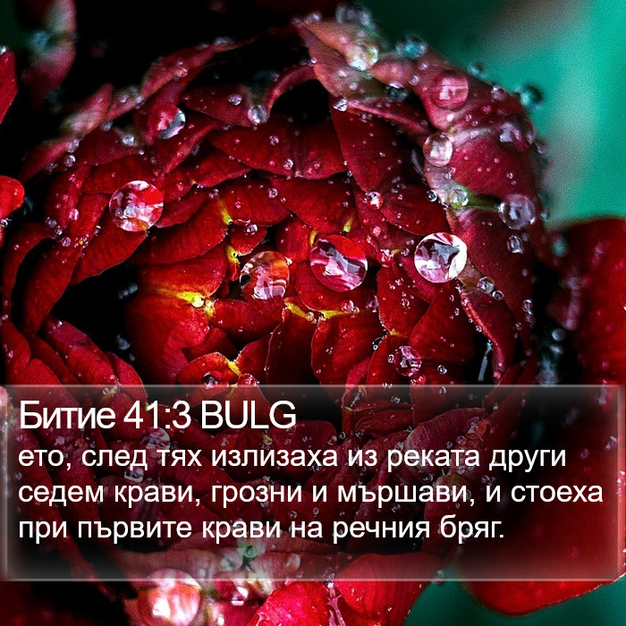 Битие 41:3 BULG Bible Study