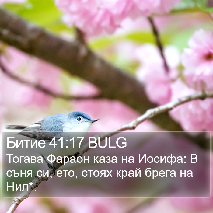 Битие 41:17 BULG Bible Study