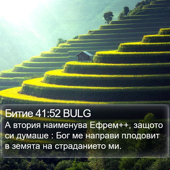 Битие 41:52 BULG Bible Study