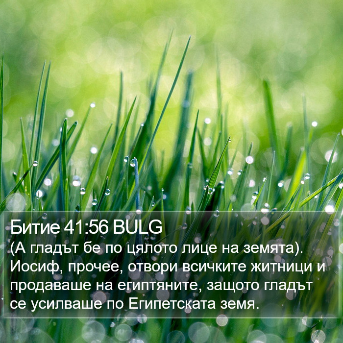 Битие 41:56 BULG Bible Study