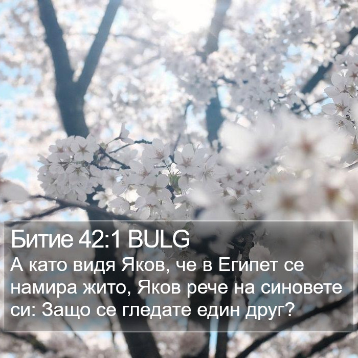 Битие 42:1 BULG Bible Study