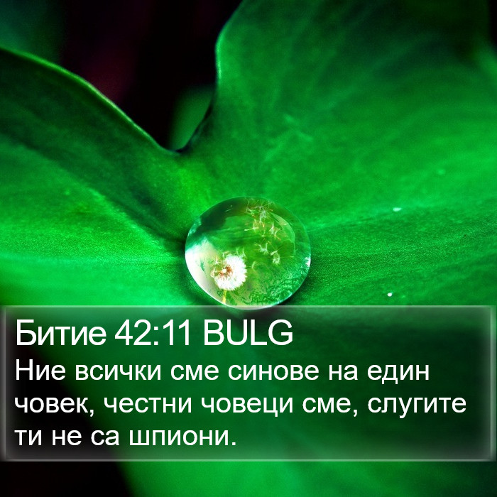 Битие 42:11 BULG Bible Study