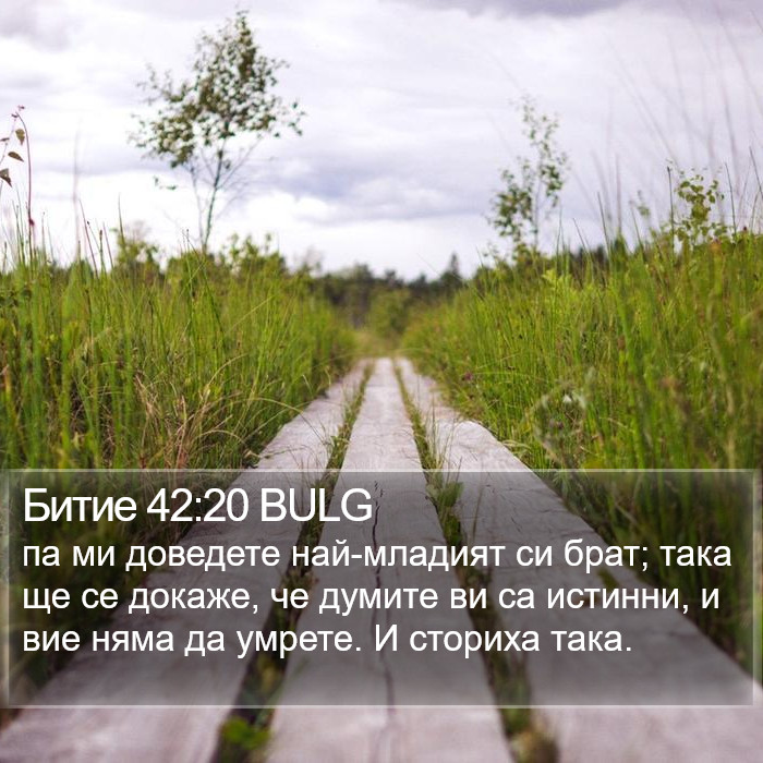 Битие 42:20 BULG Bible Study