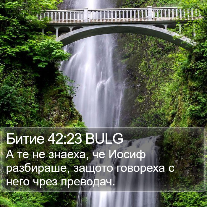 Битие 42:23 BULG Bible Study