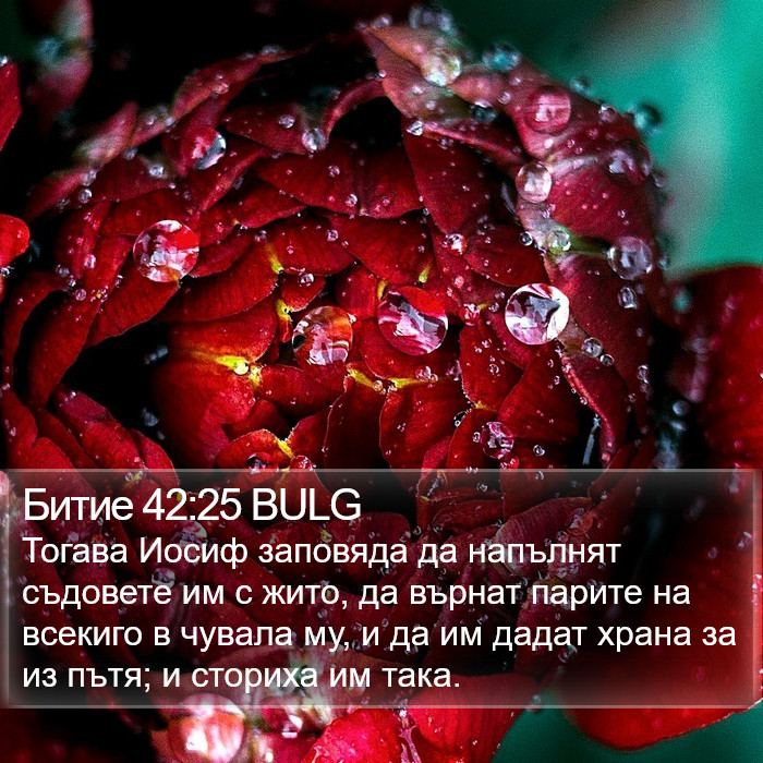 Битие 42:25 BULG Bible Study